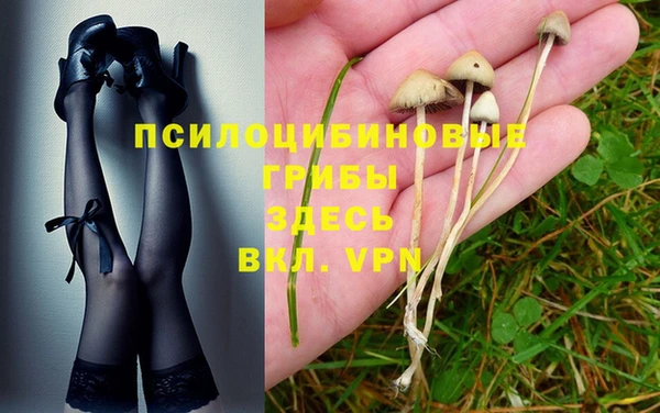 винт Арсеньев