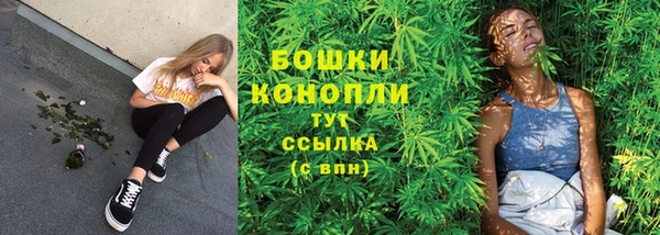 ПСИЛОЦИБИНОВЫЕ ГРИБЫ Армянск